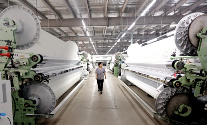 Bolian Growth Path in the Filter Cloth Industry!